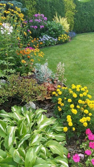 just wanna share my garden that i’m so proud of.