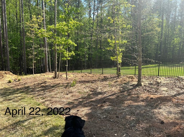 evolution of 70’ new flower bed