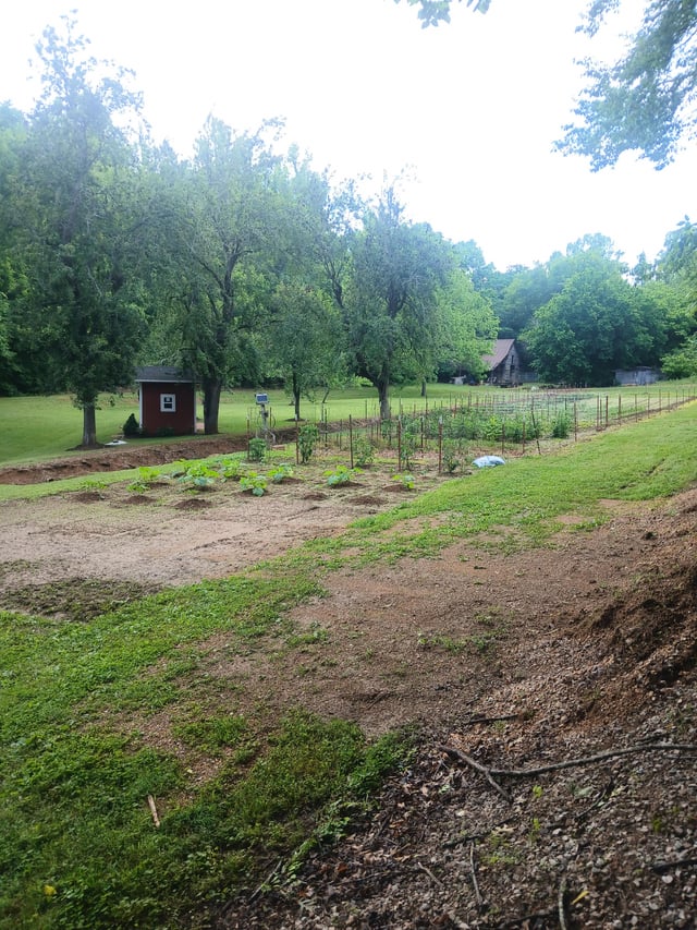 my father has kept a garden as far back as i can remember.