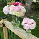 cut some flowers from the garden!