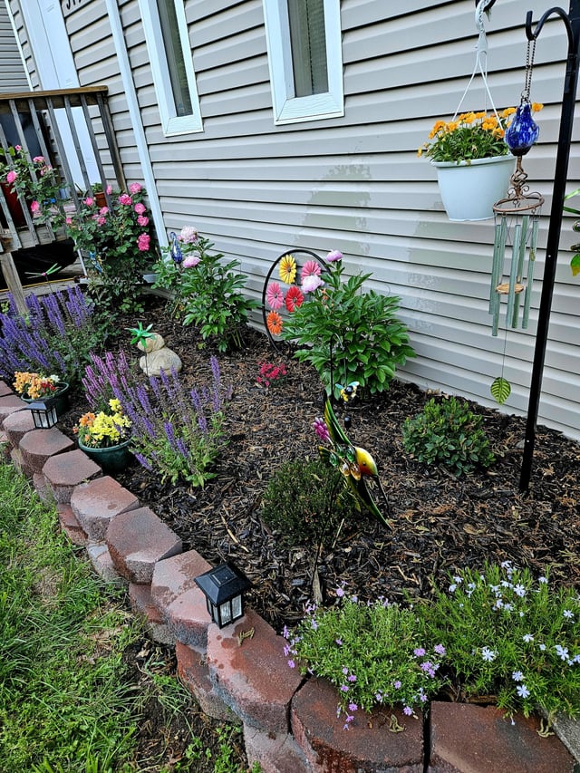 proud of my little garden