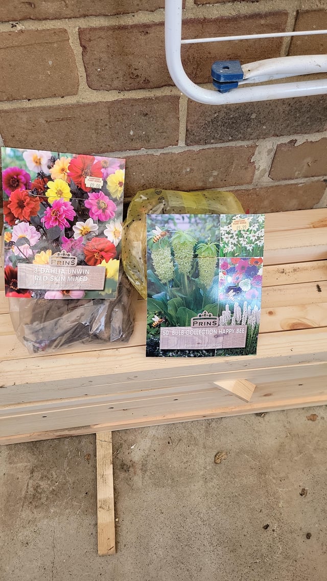 is it too late to start planting these?