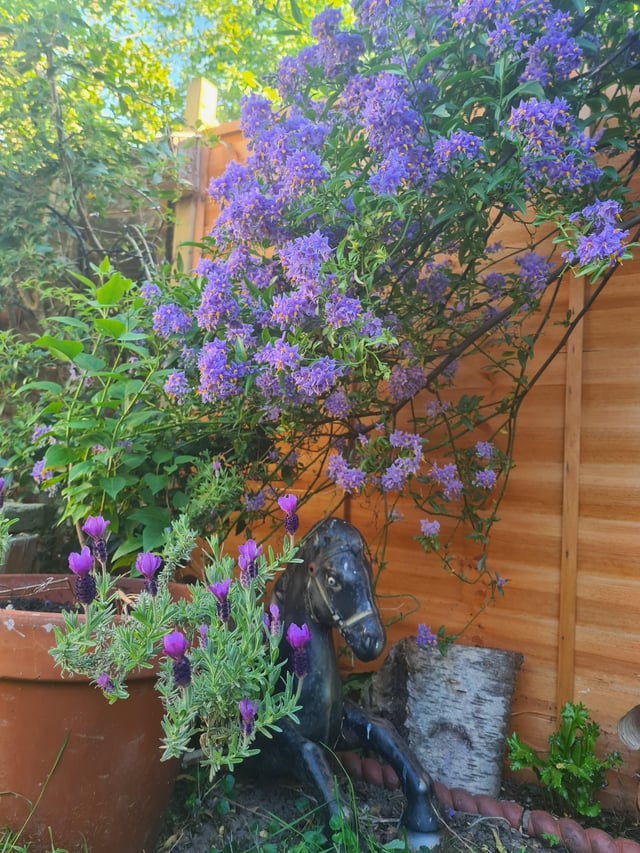 i'm so happy i'm getting to a point where i have human food mixed in with food for the birds and the bees.