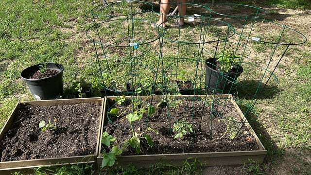my wife and i’s first garden
