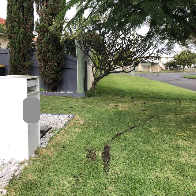 postman's trike leaving deep tracks in my front lawn (first time homeowner) qld