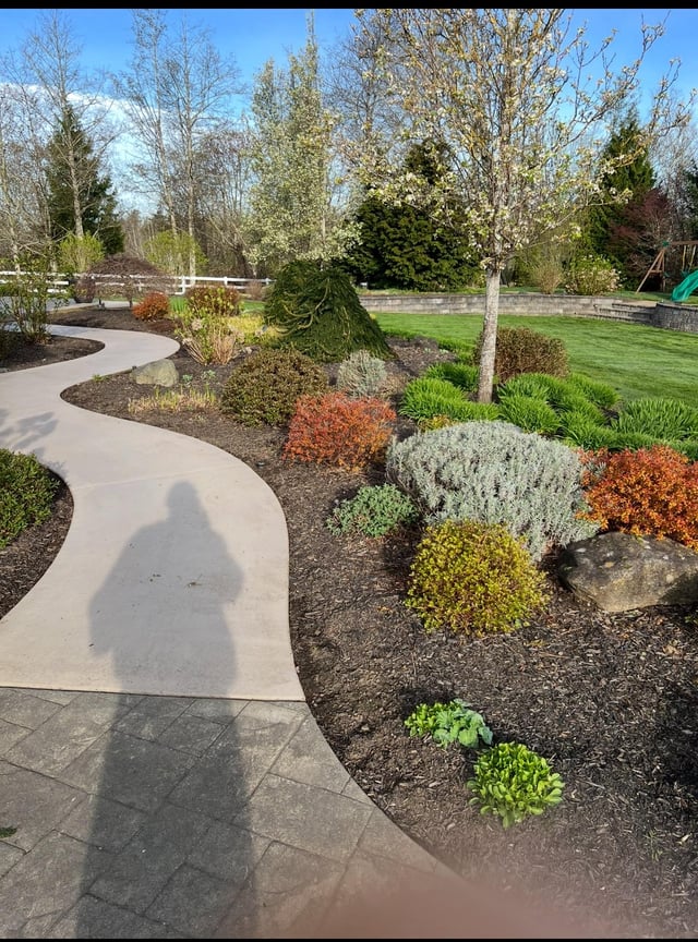 our flowerbeds 4 weeks apart