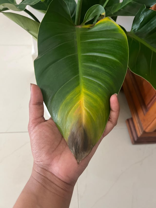 what to do about this?