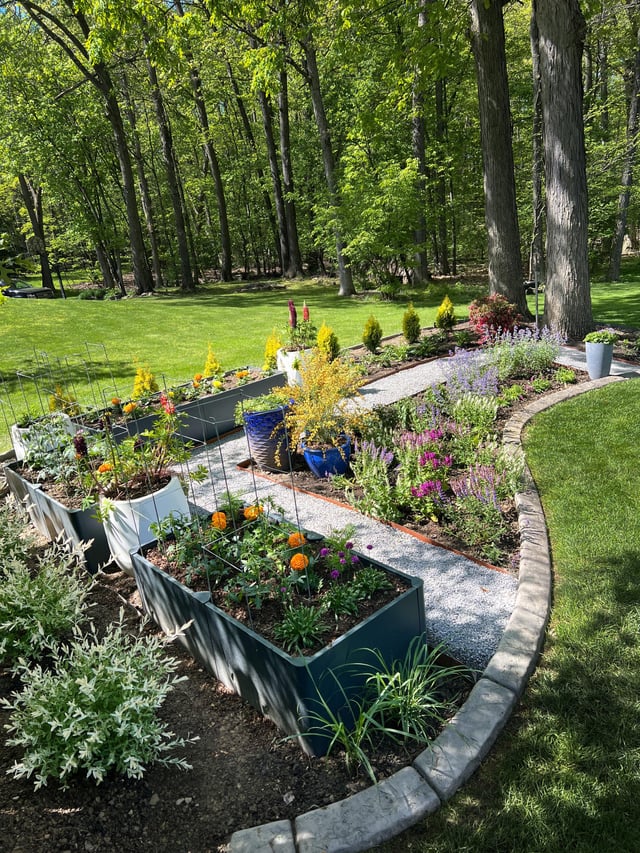 new pollinator garden w/ raised beds