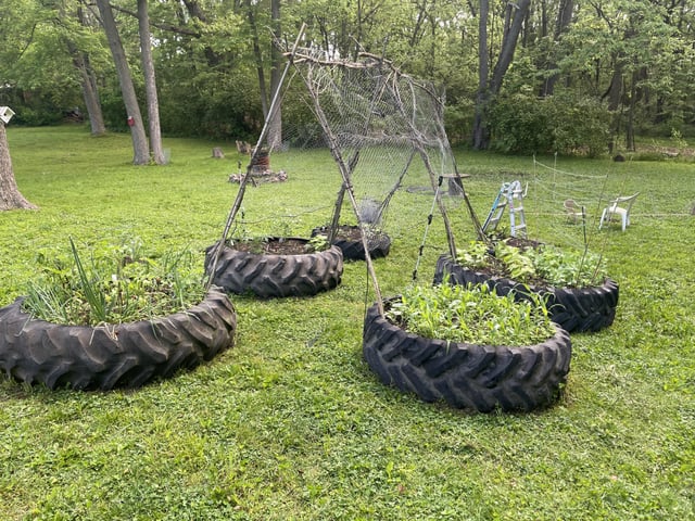 my limited options produced this…garden?