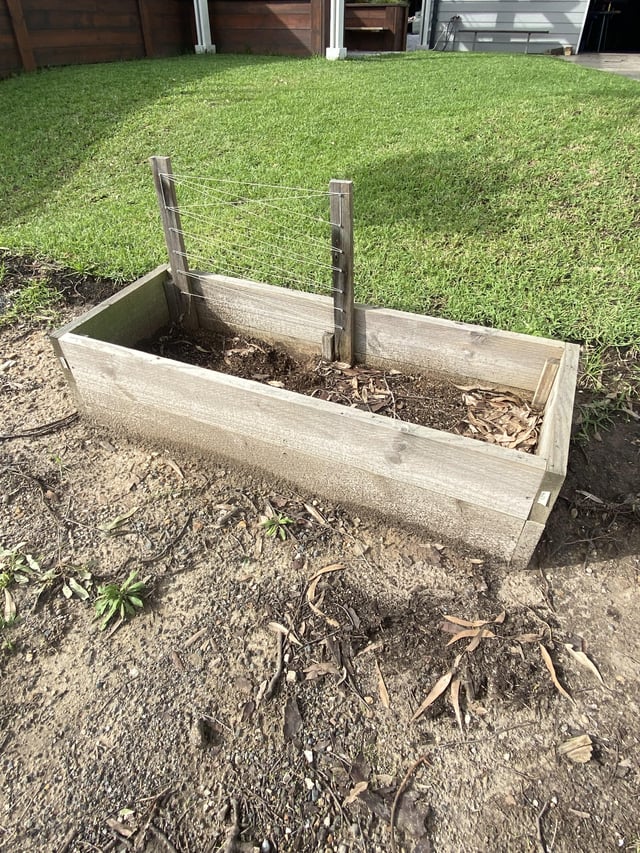 what can i do with this at this time of year? based in nsw mid north coast
