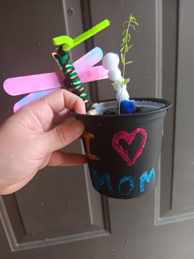 my son came home with this from school thursday. what is it?