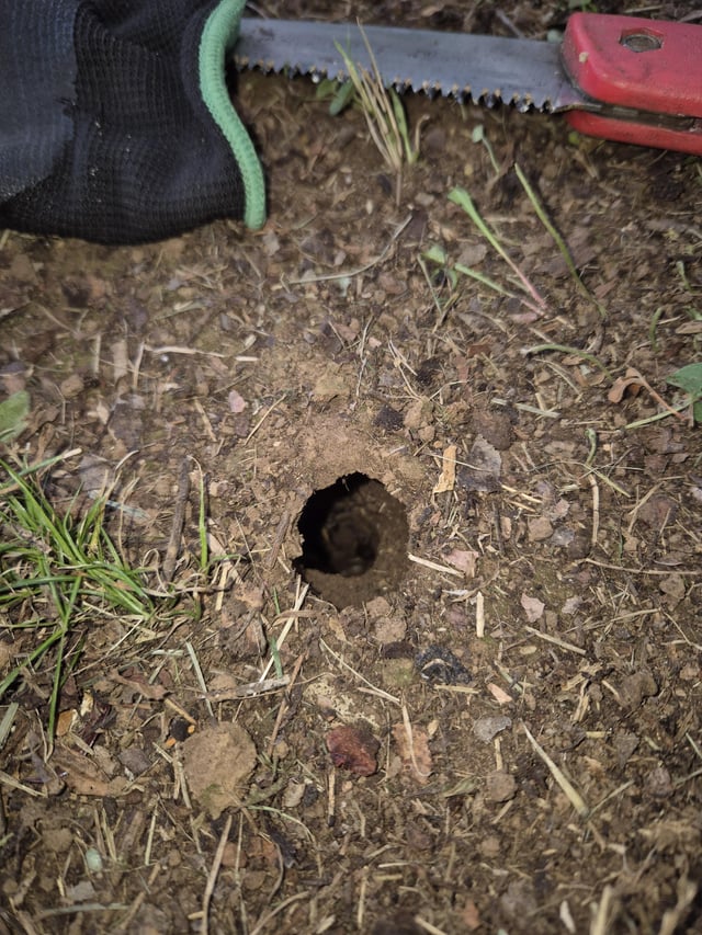 here's one for you guys, who's living in this bad boy?