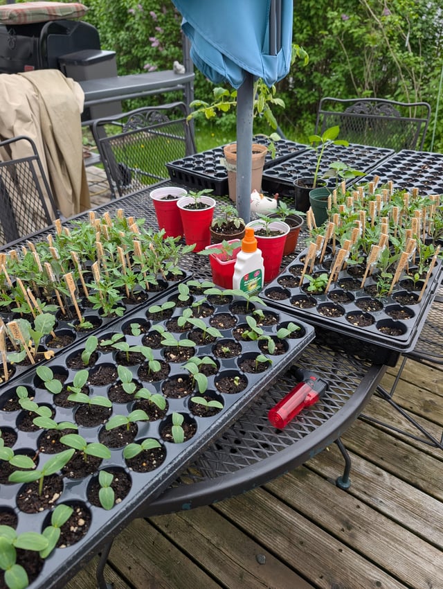 i don't have a patio table this time of year