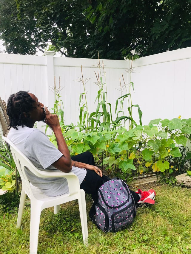 Enjoying my corner Garden – Reddit Post