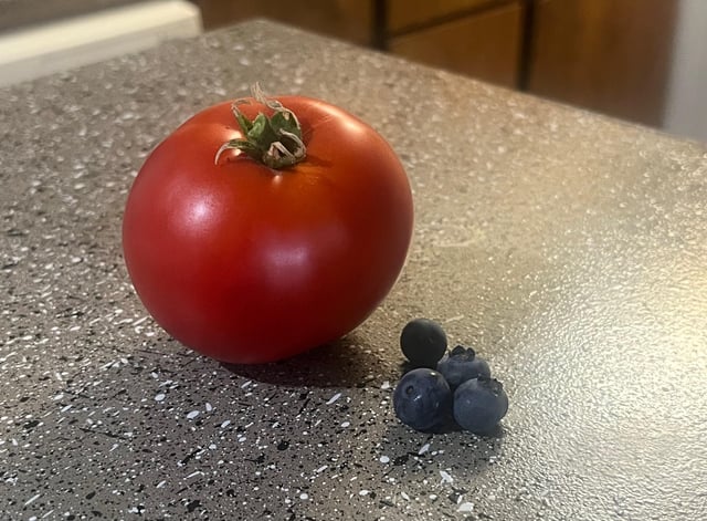 first tomato from my garden!