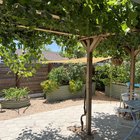 rate my garden!