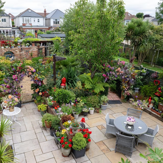 my dream garden ❤