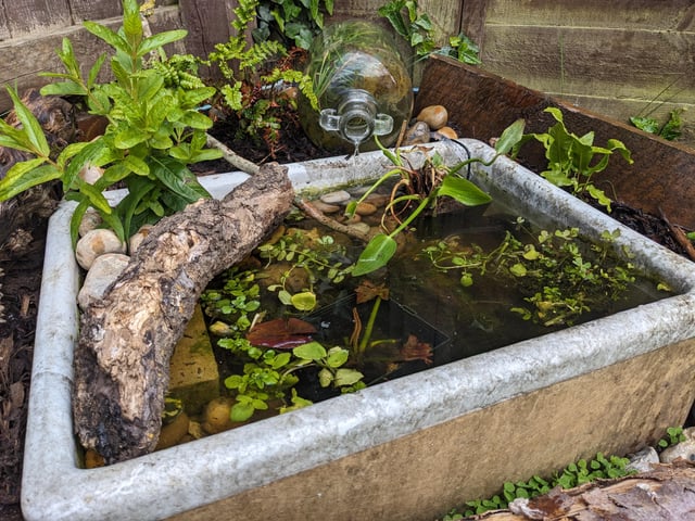 another sink pond