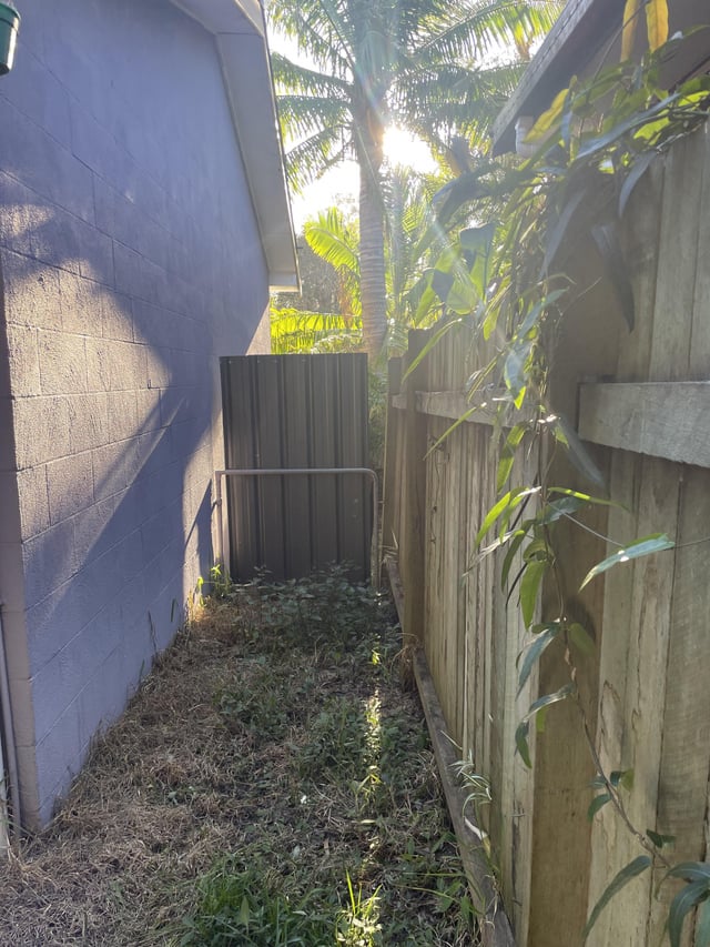 design/plant ideas for shady side access?