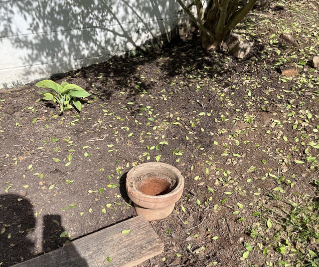 finally figured out why this planter pot wouldn’t come up out of my yard