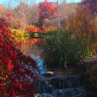 more autumn magic, mayfield gardens, oberon, australia.