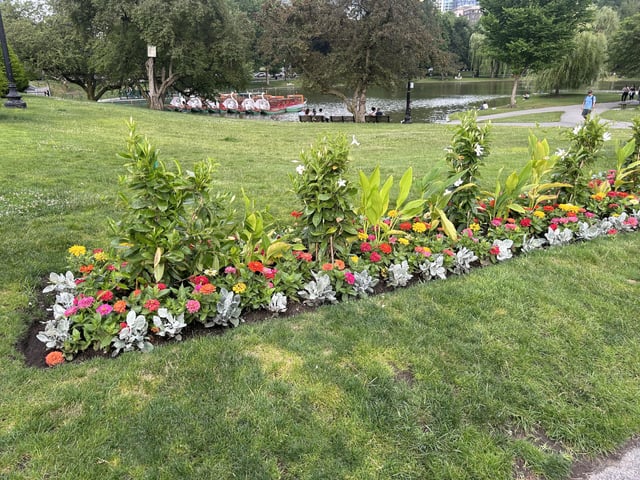 saw this garden idea in boston public gardens and want to do it to my garden bed