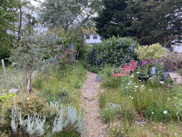 garden therapy.