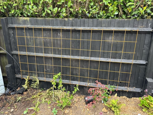 cheap ‘corten’ trellis
