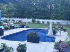 backyard is starting to fill out