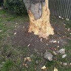 advice after criminal damage