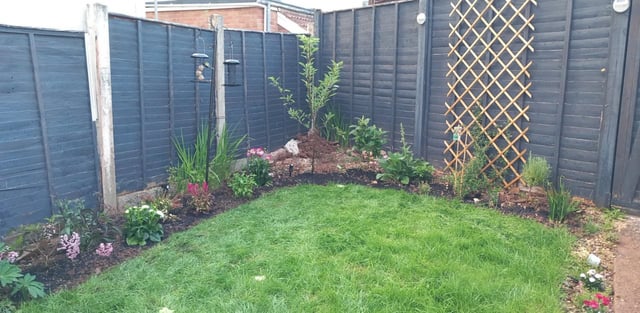 wife's nan came round and said extending my boarder would be nice, so i've done it.