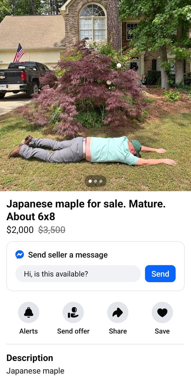 guy for scale
