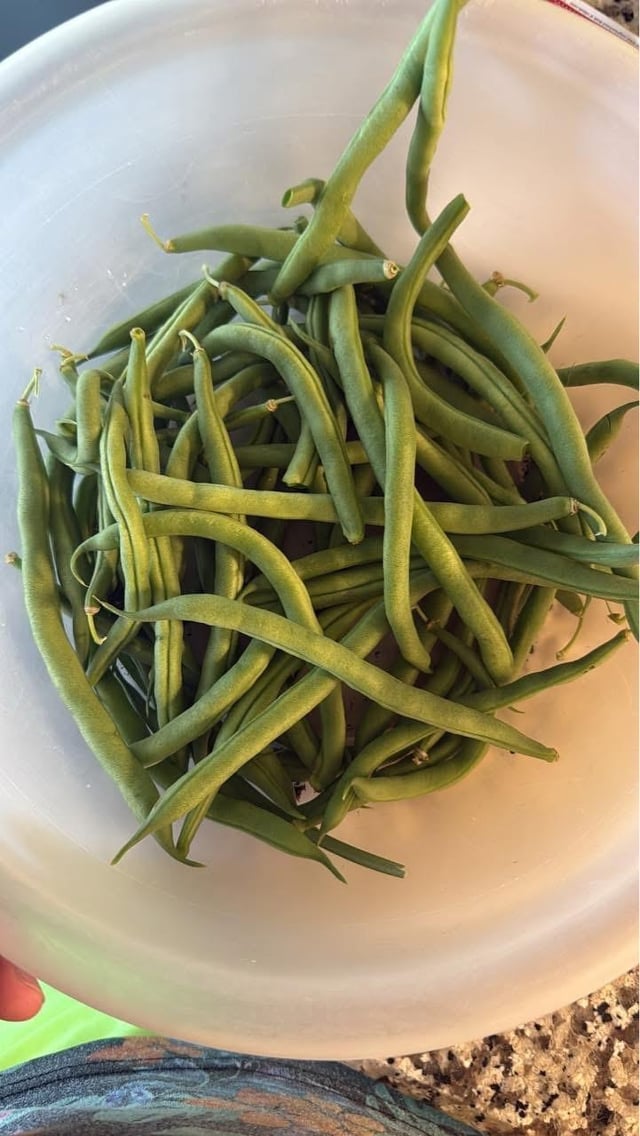 first time gardener. really proud of what i’ve harvested so far!