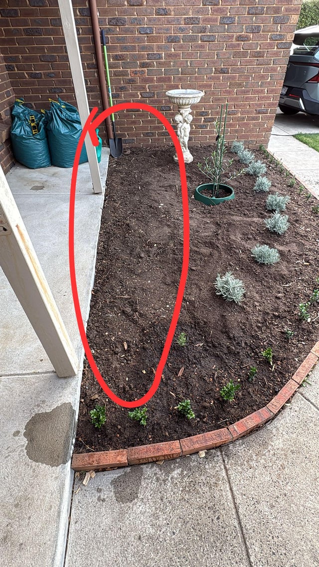 what should i plant?