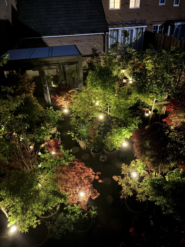 just thought i’d show my garden.