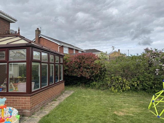 newbie gardener looking for advice