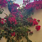 plants update🌱 – Reddit Post