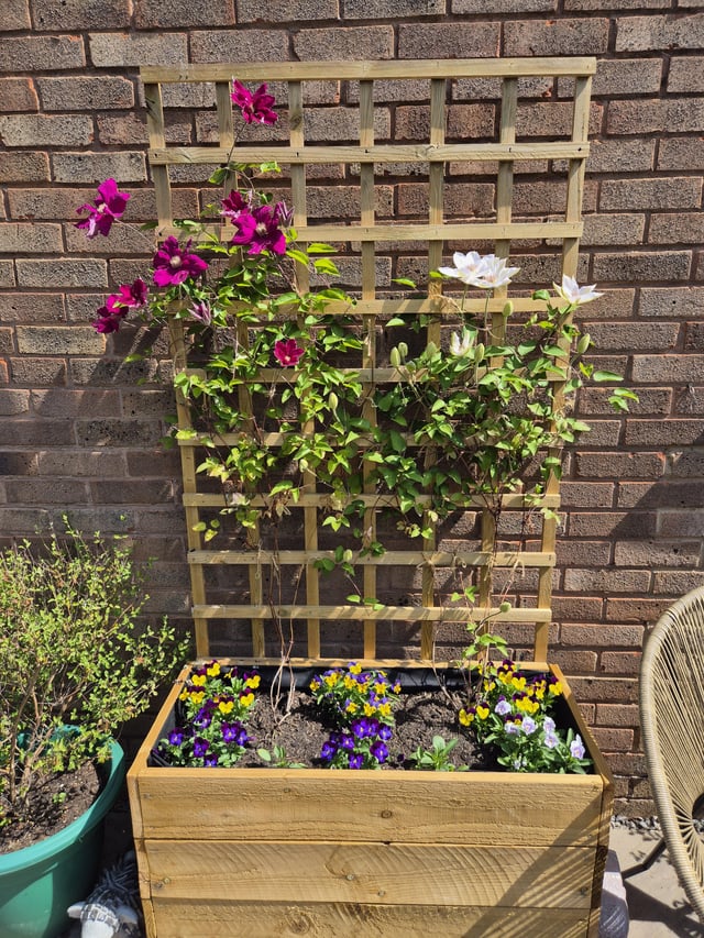 new for this year