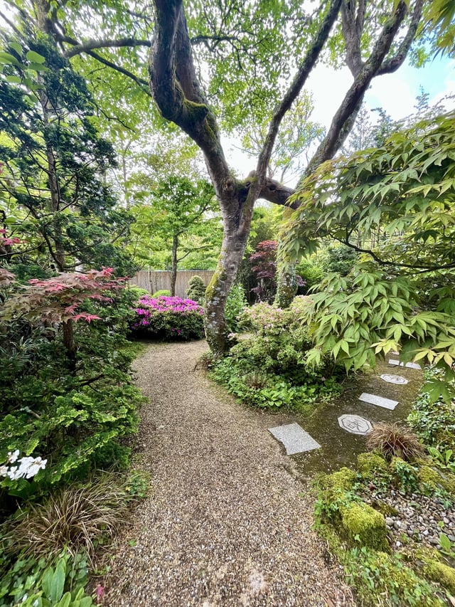 🍃🍃🍃