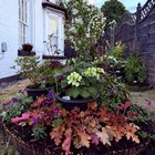 little circle bed