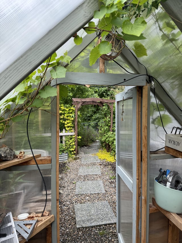 view from greenhouse