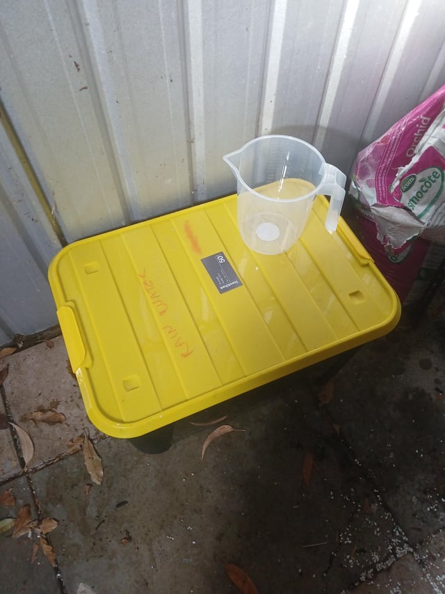 don't have a water tank just yet but hasn't stopped me from collecting rain water for the plants