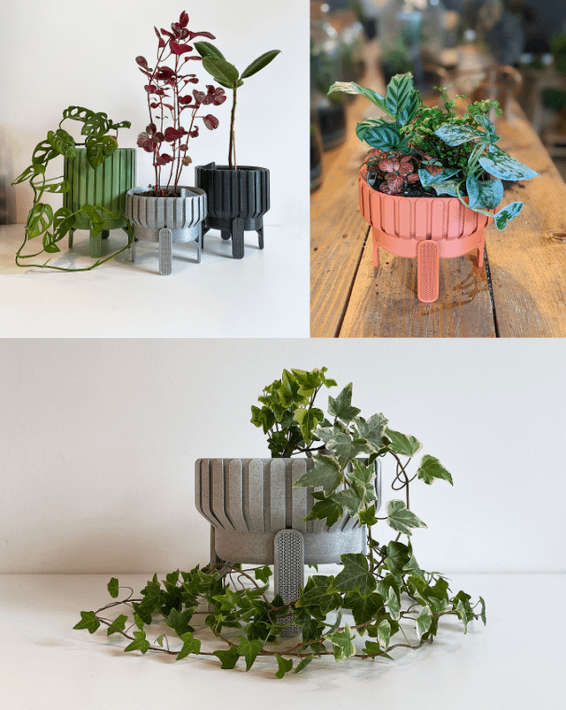 self watering plant pot