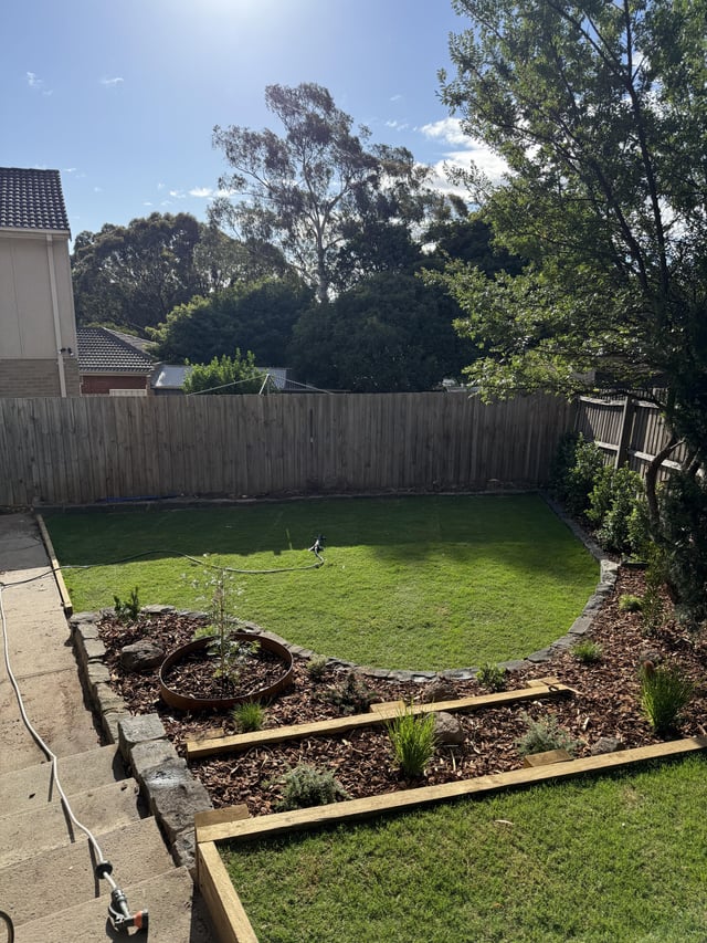 plant/shrub/tree suggestions