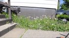 It’s amazing how mucu of a difference 2 years makes. – Reddit Post