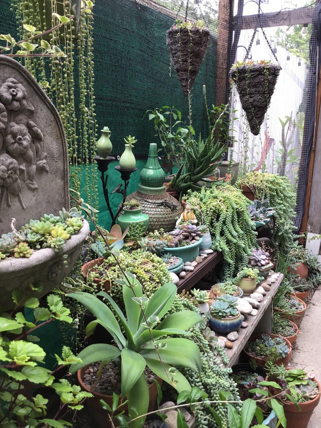 this was my garden design in 2019.