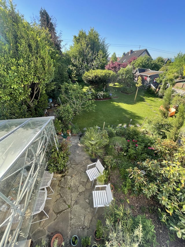 the state of my garden in may 2025