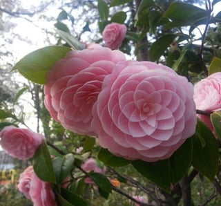 Nature is Perfect,! – Reddit Post