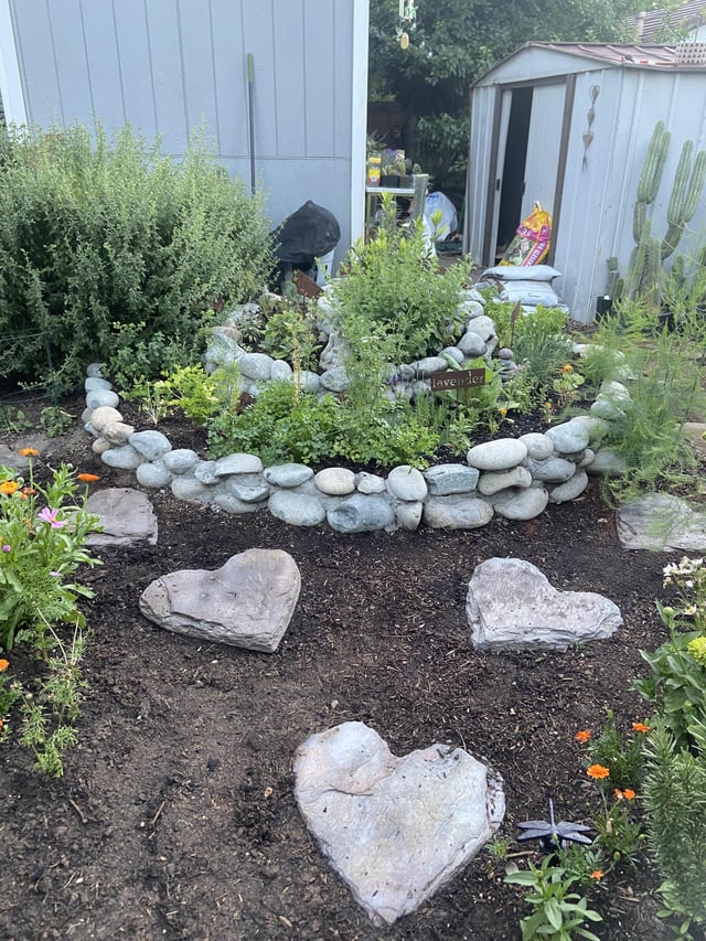 herb spiral coming along nicely 🙂