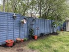 garden update still a long way to go